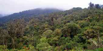 Parc national Amboró