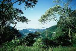 Parc National da Serra da Bocaina