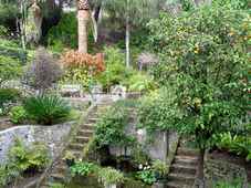 Photo du Jardins botaniques de Gibraltar