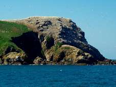 Photo de la Réserve naturelle nationale des Sept-Îles