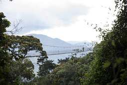 Parc national de Nyungwe