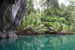 Parc national de la rivière souterraine de Puerto Princesa