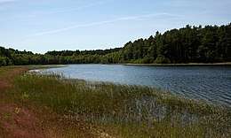 Parc national de la forêt de Tuchola