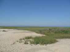 Assateague Island National Seashore