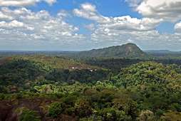 Réserve naturelle du Suriname central