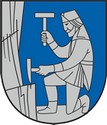 Blason de Schladming