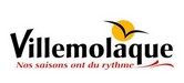 Logo de Villemolaque