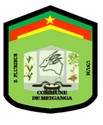 Blason de Meiganga