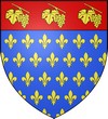 Blason de Villeneuve-le-Roi