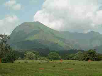 Photo de la Réserve naturelle intégrale du mont Nimba
