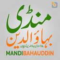 Logo de Mandi Bahauddin