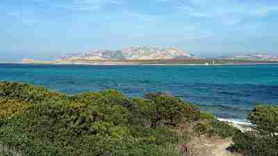 Photo d'Asinara