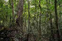 Parc national de Soberan&iacute;a