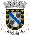 Blason de Felgueiras