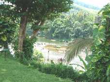 Photo de Kitulgala