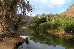 Parc culturel du Tassili