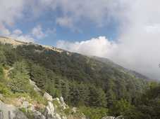 R&eacute;serve naturelle du Chouf