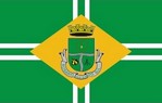 Drapeau de Ros&aacute;rio do Sul