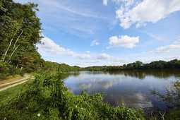 Photo de Saint-Loup-du-Gast