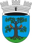 Blason de Sevnica