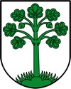 Blason de Telgte