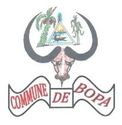 Logo de Bopa
