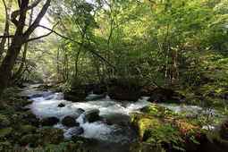 Parc national de Towada-Hachimantai