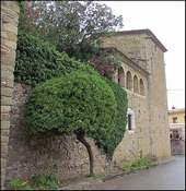 Photo de P&uacute;bol