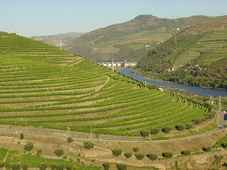 R&eacute;gion viticole du Haut-Douro