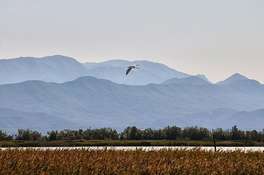 Photo de la R&eacute;serve naturelle Kun&euml;-Vain-Tale
