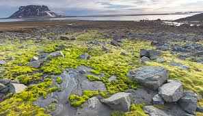 Photo de la Terre Fran&ccedil;ois-Joseph