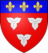 Blason d'Orl&eacute;ans