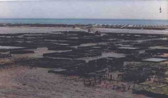 Parc &agrave; Hu&icirc;tres