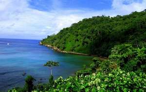 Photo de l'&Icirc;le Cocos