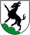Blason de Kitzb&uuml;hel