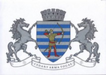 Blason de Balti