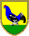 Blason de Kranjska Gora