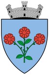 Blason de R&acirc;snov