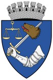 Blason de T&acirc;rgu Mures