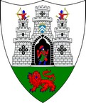 Blason de Kilkenny