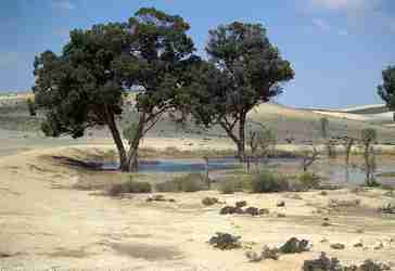 Photo du D&eacute;sert du N&eacute;guev