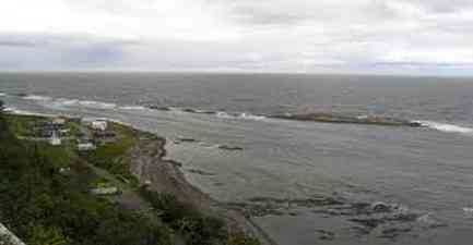 Photo des M&eacute;chins