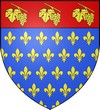 Blason de Villeneuve-le-Roi