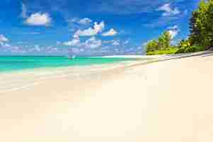 Photo de l'&icirc;le de Denis