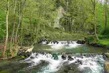 Photo de La Molign&eacute;e