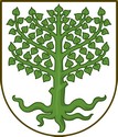 Blason d'Aeroskobing