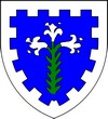Blason de Sainte-Marie-du-C&acirc;tel