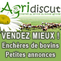 Ench&egrave;res de bovins, Petites annonces, Forum agricole