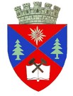 Blason de Petrosani