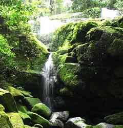 Parc national d'Ivindo